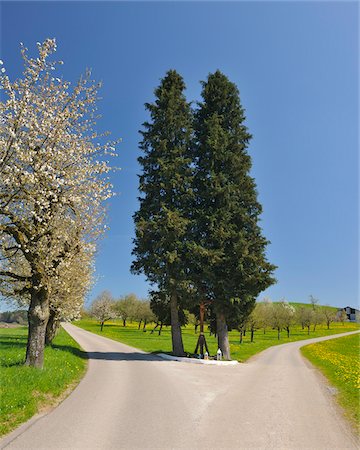 swabia - Forked Country Road with Wooden Cross, Tettnang, Baden-Wurttemberg, Germany Stock Photo - Premium Royalty-Free, Code: 600-06119596