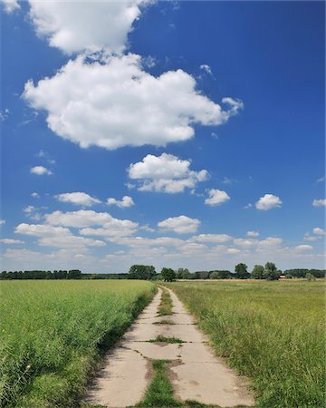 road sky clouds - Dirt Road, Biebesheim, Hessen, Germany Stock Photo - Premium Royalty-Free, Code: 600-06119694