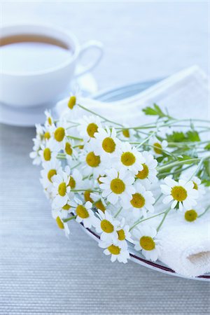 simsearch:600-06674998,k - Camomile and Tea Stock Photo - Premium Royalty-Free, Code: 600-06180169