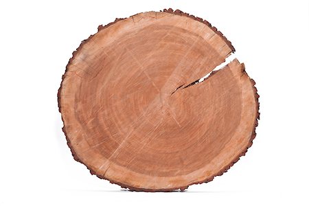 picar - Cross-section of Tree Trunk Foto de stock - Sin royalties Premium, Código: 600-06282082