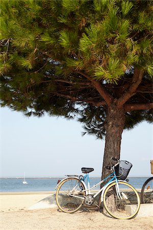 Bike Parked by Tree at Beach, Andernos-les-Bains, Aquitaine, France Stock Photo - Premium Royalty-Free, Code: 600-06302302