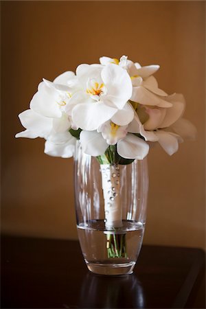 Fleurs ; Tout rejet ; (Ontario) ; Toronto ; bouquet Photographie de stock - Premium Libres de Droits, Code: 600-06302318