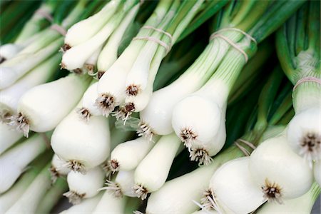 Gros plan des oignons verts biologiques au marché des fermiers Photographie de stock - Premium Libres de Droits, Code: 600-06322701