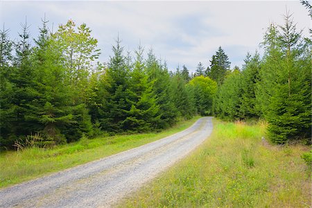 Chemin à travers la forêt, Odenwald, Hesse, Allemagne Photographie de stock - Premium Libres de Droits, Code: 600-06334256