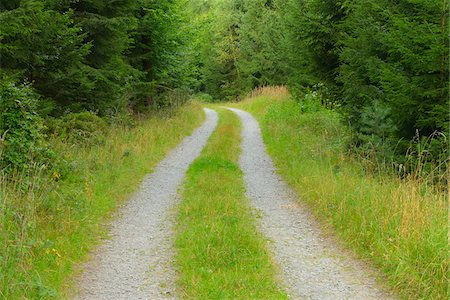 Chemin à travers la forêt, Odenwald, Hesse, Allemagne Photographie de stock - Premium Libres de Droits, Code: 600-06334258