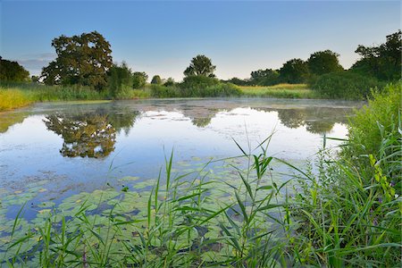 Lake in Kuhkopf-Knoblochsaue Nature Reserve, Hesse, Germany Stock Photo - Premium Royalty-Free, Code: 600-06334269