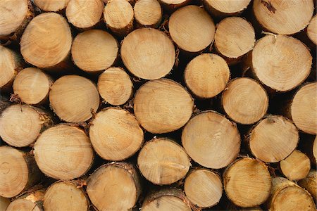 Stack of Spruce Logs, Odenwald, Hesse, Germany Foto de stock - Sin royalties Premium, Código: 600-06334277