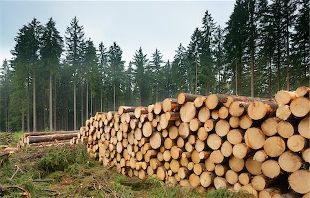 Pile de journaux d'épinettes, Odenwald, Hesse, Allemagne Photographie de stock - Premium Libres de Droits, Code: 600-06334278