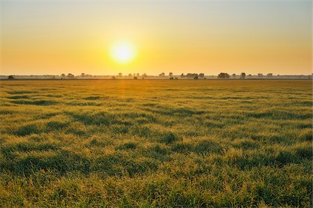 sonnenaufgang - Tadten, Burgenland, Österreich Stockbilder - Premium RF Lizenzfrei, Bildnummer: 600-06334486