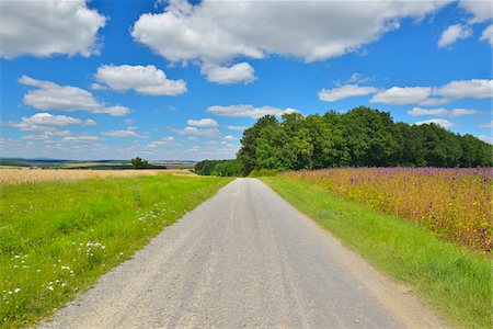 Country Road and Fields, Arnstein, Main-Spessart, Franconia, Bavaria, Germany Stock Photo - Premium Royalty-Free, Code: 600-06334506