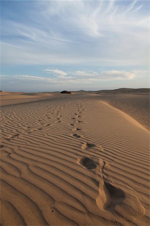 spanish steps - Sand Dune, Canary Islands, Spain Foto de stock - Royalty Free Premium, Número: 600-06355287