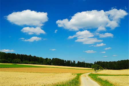 road sky clouds - Black Forest, Schwarzwald-Baar, Baden-Wurttemberg, Germany Stock Photo - Premium Royalty-Free, Code: 600-06368345