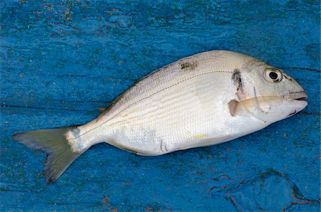 simsearch:600-06368358,k - Close-up of Fish, Morocco Foto de stock - Sin royalties Premium, Código: 600-06368368