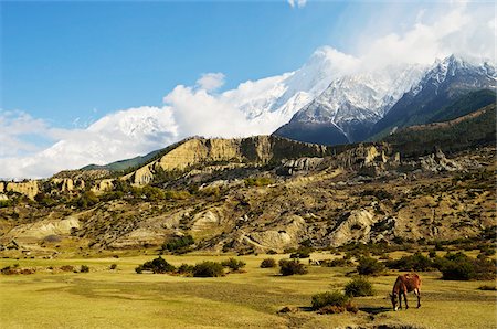 simsearch:600-03778268,k - Nilgiri Himal View From Jomsom, Annapurna Conservation Area, Mustang District, Dhaulagiri, Pashchimanchal, Nepal Foto de stock - Royalty Free Premium, Número: 600-06383835