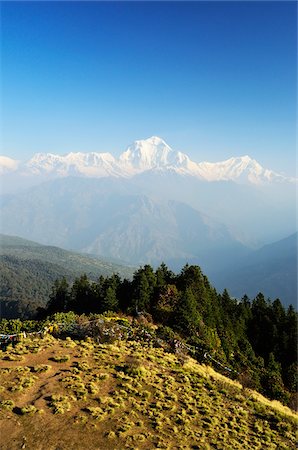 simsearch:600-03778268,k - Dhaulagiri Himal View From Poon Hill, Annapurna Conservation Area, Mustang District, Dhaulagiri, Pashchimanchal, Nepal Foto de stock - Royalty Free Premium, Número: 600-06383836