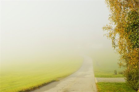 Road and Morning Fog, near Breitenberg, Bavaria, Germany Foto de stock - Sin royalties Premium, Código: 600-06397484