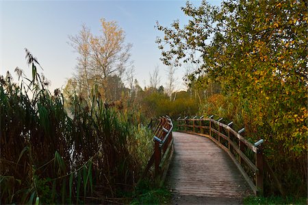 strandpromenade - Schwenninger Moos, Villingen-Schwenningen, Schwarzwald-Baar-Kreis, Schwarzwald, Baden-Württemberg, Deutschland Stockbilder - Premium RF Lizenzfrei, Bildnummer: 600-06397508