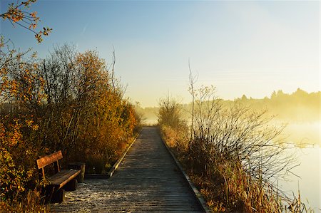 park bench nobody - Schwenninger Moos, Villingen-Schwenningen, Schwarzwald-Baar, Black Forest, Baden-Wurttemberg, Germany Stock Photo - Premium Royalty-Free, Code: 600-06397513