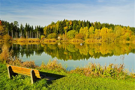 pond - Schwarzwald-Baar, Black Forest, Baden-Wurttemberg, Germany Stock Photo - Premium Royalty-Free, Code: 600-06397523