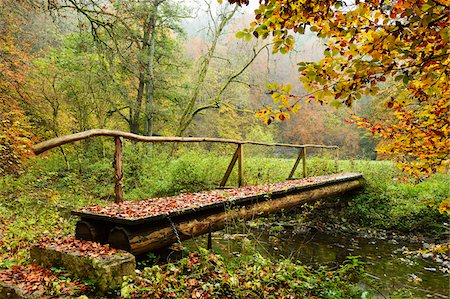 forest park - Neckar River and Neckar Valley, Schwarzwald-Baar, Baden-Wurttemberg, Germany Foto de stock - Sin royalties Premium, Código: 600-06397531