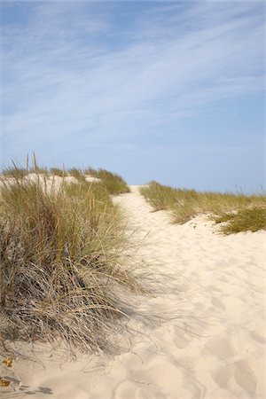 Sand Dunes and Dune Grass, Cap Ferret, Gironde, Aquitaine, France Stock Photo - Premium Royalty-Free, Code: 600-06407690