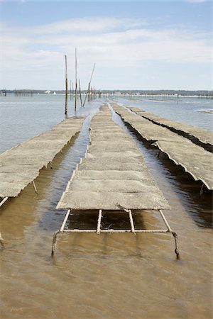 Bancs d'huîtres à faible liée, Cap Ferret, Gironde, Aquitaine, France Photographie de stock - Premium Libres de Droits, Code: 600-06407718