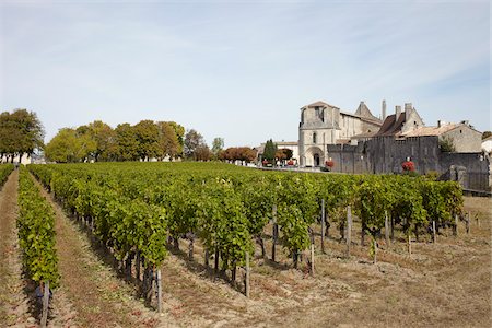 france aquitaine - Vineyard, Saint Emilion, Bordeaux Region, Gironde, Aquitaine, France Stock Photo - Premium Royalty-Free, Code: 600-06407739