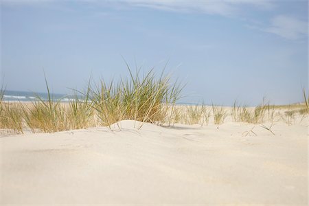 Sand Dunes and Dune Grass, Cap Ferret, Gironde, Aquitaine, France Photographie de stock - Premium Libres de Droits, Code: 600-06407742