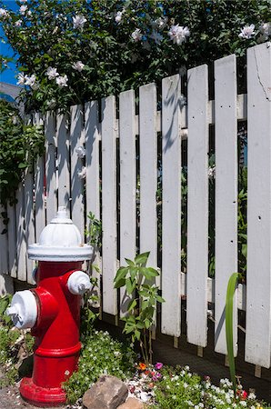 feuerhydrant - Fire Hydrant beside White Picket Fence, Provincetown, Cape Cod, Massachusetts, USA Stockbilder - Premium RF Lizenzfrei, Bildnummer: 600-06439193