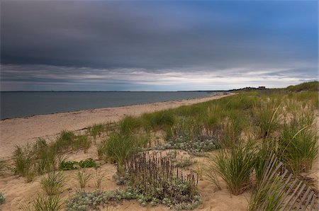 simsearch:600-06438868,k - Plage avec gazon et clôtures, Cape Cod, Massachusetts, USA Photographie de stock - Premium Libres de Droits, Code: 600-06431173