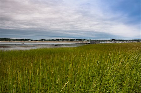 sumpfgebiet - Wellfleet Stadt Pier, Cape Cod, Massachusetts, USA Stockbilder - Premium RF Lizenzfrei, Bildnummer: 600-06431206