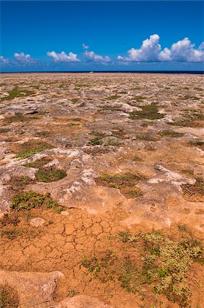 simsearch:600-06431264,k - Arid Landscape, Arikok National Park, Aruba, Lesser Antilles, Caribbean Foto de stock - Sin royalties Premium, Código: 600-06431287