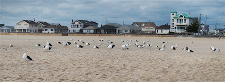Panoramic View of Beach Houses on Jersey Coast, Point Pleasant, New Jersey, USA Stock Photo - Premium Royalty-Free, Code: 600-06486289