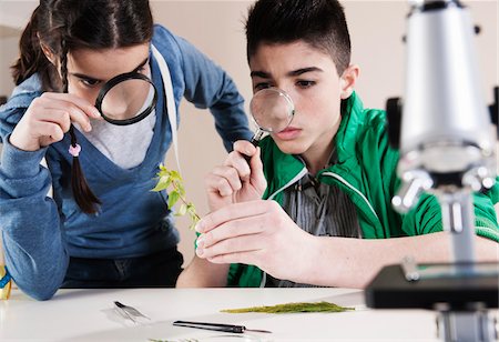 school children - Boy and Girl Examining Leaves with Magnifying Glasses, Mannheim, Baden-Wurttemberg, Germany Foto de stock - Sin royalties Premium, Código: 600-06486442