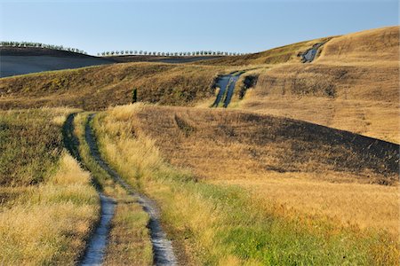 Rural Road in Summer, Montalcino, Val d'Orcia, Province of Siena, Tuscany, Italy Stock Photo - Premium Royalty-Free, Code: 600-06486638