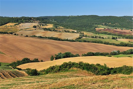 simsearch:600-06486635,k - Farmland and Hills in Countryside in Summer, Pienza, Val d'Orcia, Province of Siena, Tuscany, Italy Stock Photo - Premium Royalty-Free, Code: 600-06486642