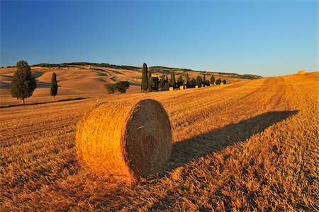 simsearch:600-06773265,k - Hay Bale, Province of Siena, Tuscany, Italy Stockbilder - Premium RF Lizenzfrei, Bildnummer: 600-06512924