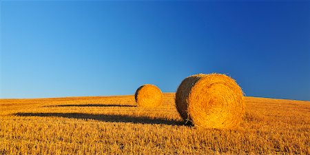 simsearch:851-02960859,k - Hay Bale, Province of Siena, Tuscany, Italy Photographie de stock - Premium Libres de Droits, Code: 600-06512926