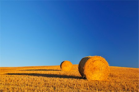 simsearch:841-07457467,k - Hay Bale, Province of Siena, Tuscany, Italy Photographie de stock - Premium Libres de Droits, Code: 600-06512927