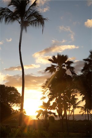 Sunset and Palm Trees in Wailea Maui Hawaii Stock Photo - Premium Royalty-Free, Code: 600-06531371