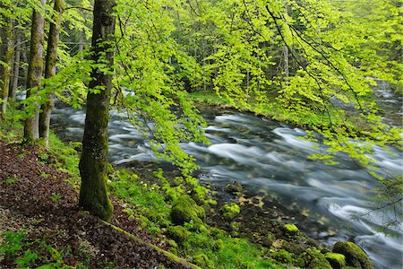 stream (body of water) - Spring Foliage along Orbe River, Vallorbe, Jura Mountains, Canton of Vaud, Switzerland Stock Photo - Premium Royalty-Free, Code: 600-06553326