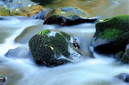 stream close up photography - Detail of flowing waters of a little River in autumn in the bavarian forest, Bavaria, Germany. Stock Photo - Premium Royalty-Free, Code: 600-06576226