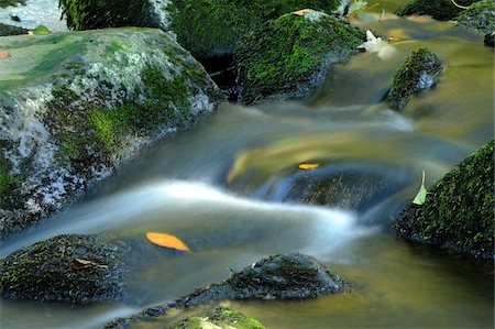 river pictures - Detail of flowing waters of a little River in autumn in the bavarian forest, Bavaria, Germany. Photographie de stock - Premium Libres de Droits, Code: 600-06576227