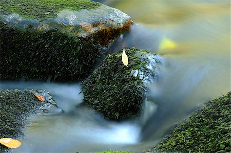 simsearch:600-07911226,k - Detail of flowing waters of a little River in autumn in the bavarian forest, Bavaria, Germany. Stockbilder - Premium RF Lizenzfrei, Bildnummer: 600-06576228