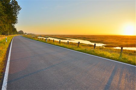 sun field - Country Road with Morning Mist, Summer, Toenning, Schleswig-Holstein, Germany Stock Photo - Premium Royalty-Free, Code: 600-06571069