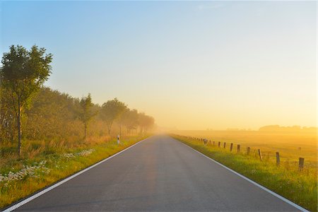 perspectiva - Country Road with Morning Mist, Summer, Toenning, Schleswig-Holstein, Germany Foto de stock - Sin royalties Premium, Código: 600-06571070