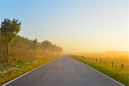 european roads not people not lifestyle not illustration - Country Road with Morning Mist, Summer, Toenning, Schleswig-Holstein, Germany Foto de stock - Sin royalties Premium, Código: 600-06571070