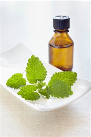 simsearch:600-06899790,k - Lemon balm, herbs and bottle of aromatic oil for aromatherapy Stock Photo - Premium Royalty-Free, Code: 600-06674987