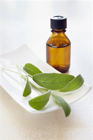 simsearch:600-06674998,k - Sprig of sage, herbs and bottle of aromatic oil for aromatherapy Stock Photo - Premium Royalty-Free, Code: 600-06674989