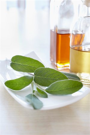 salvia - Herbs with bottle of aromatic oil for aromatherapy Stock Photo - Premium Royalty-Free, Code: 600-06675004